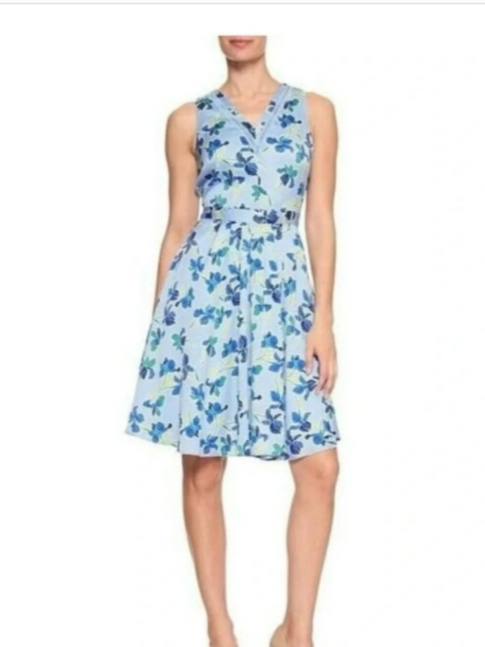 Banana Republic Factory Print Ladder Lace Fit & Flare Dress